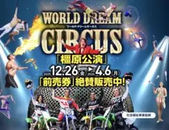 ◆ ワールド ドリームサーカス ◆ 橿原公演 ◆ 特別割引入場券 10枚セット◆