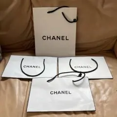 CHANEL ショップ袋 4枚セット