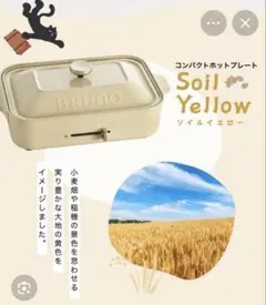 6D51 【新品】BRUNO ブルーノ コンパクトホットプレート 10周年記念