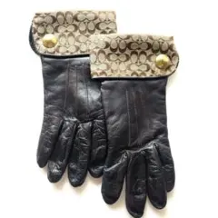 ＣＯＡＣＨ　レディース　グローブ　本革　レザー　手袋