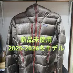 Patagonia フィッツロイダウンフーディ【新品未使用】のサムネイル