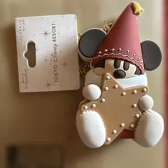 バッグチャームケース付　ディズニー　クリスマス　２０２５　リルリンリン 未使用
