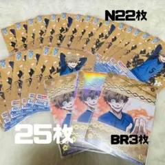 ヴァイスシュヴァルツ 成早朝日セット