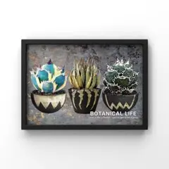 2026年最新】塊根植物 アートの人気アイテム - メルカリ