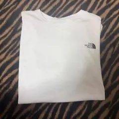 THE NORTH FACE XL Tシャツ