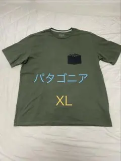 【美品】PATAGONIA パタゴニア ポケットTシャツ XL