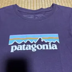 Patagonia オーガニックコットン Tシャツ パープルのサムネイル