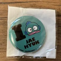 TREASURE×HAPIDANBUI ジェヒョク　缶バッチ