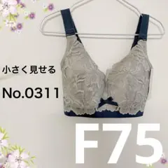 Item thumbnail for item 9771daac-da6e-46a3-9373-6799098bf100