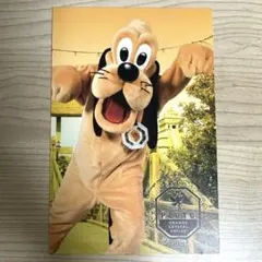 プルート　ポストカード　ディズニーシー　15周年