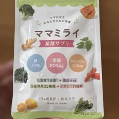 Item thumbnail for item af596068-81de-462f-a774-0314063e3b7a