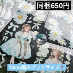 356_ 【House of Ella】　Daisy 贝売光