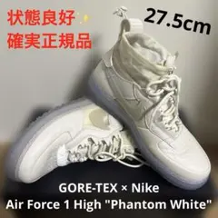 GORE-TEX × Nike Air Force 1 High 
