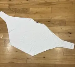 Item thumbnail for item 9e78e999-f9f9-4951-9c4e-fa86ad30a853