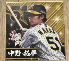 Item thumbnail for item 5575fc4c-5508-4699-9658-18f76788ab8d