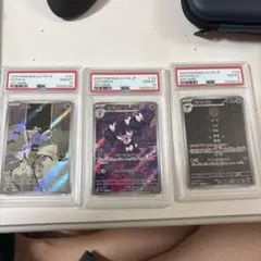 PSA10 ポケモンカード ミジュマル フタチマル ダイケンキ AR 連番