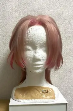 angelphilia、MSDサイズ用ウィッグ5点セット 他 - メルカリ