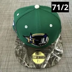 Item thumbnail for item d7d9de92-1e31-4349-83b5-f491c7e7920a