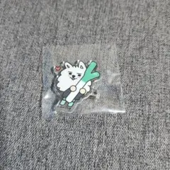 TXT プルバトゥ　ご当地バッジ　ヨンモン