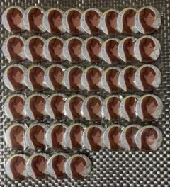 花里みのり グリッター缶バッジ 42A 44点