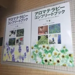 Item thumbnail for item d3e34203-ef52-44dd-bc3e-1542d15fec49