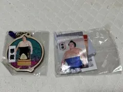 琴櫻関　ガチャガチャセット