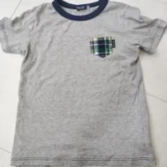 Black Bear Tシャツ 140cm グレー チェックポケット