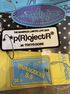 THE RAMPAGE 2024 キーホルダーワッペンセット