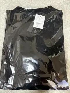 東京SNG Tシャツ ヤンチェオンテンバール jo SNGサイズ 香取慎吾
