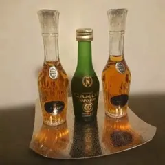 2026年最新】カミュ ブック ミニボトルの人気アイテム - メルカリ