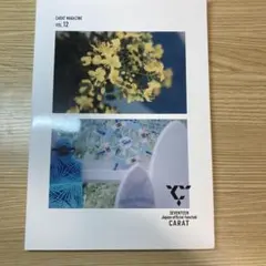 CARAT MAGAZINE vol.12