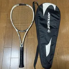 Item thumbnail for item 8a6326e7-3b95-4dbd-9343-1e142e8f2629