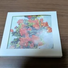 GRAPEVINE「覚醒」アナログ盤 レコード オリジナル ポータブル アナログプレーヤー | GRAPEVINE | VICTOR