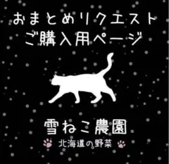 湧水の杜様 リクエスト 6点 まとめ商品