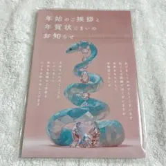新品未開封★ 年賀状じまい2025（新年お知らせ）私製10枚入り