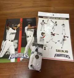 新庄剛志 日ハム　選手時代　ノート　シール　ストラップセット