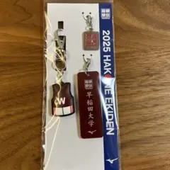 第101回 箱根駅伝 早稲田大学 キーホルダー