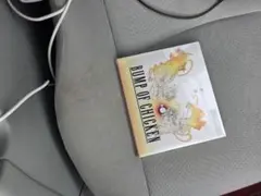 Item thumbnail for item 34d37905-9ba7-4500-9954-599809e04b23