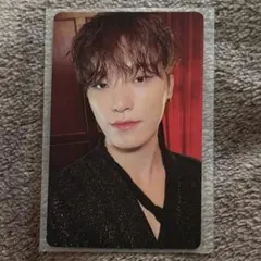 SEVENTEEN シーグリ 2023 ディノ トレカ