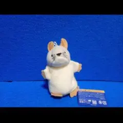2026年最新】knick knack ぬいぐるみの人気アイテム - メルカリ