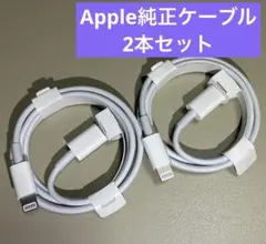 アップル純正ケーブル Lightning to USB-C