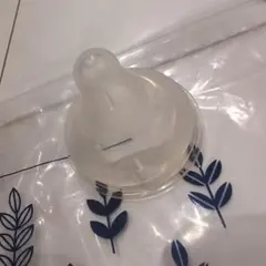 Item thumbnail for item 975ee73d-4f09-4357-8a8c-53d29330073d