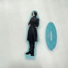 ハリーポッター アクリルスタンドコレクション オーロラアクリルスタンド スネイプ