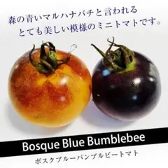 ものこ様 リクエスト 2点 まとめ商品