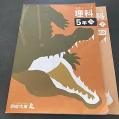 たけ様専用です。