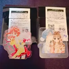 リコリスリコイル アニメイト限定 プレイマット 冬・夏セット - メルカリ