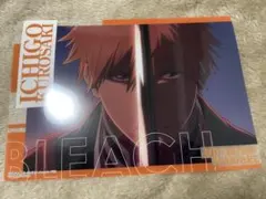 BLEACH 黒崎一護 クリアビジュアルポスター