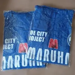 Item thumbnail for item 437bca93-fcc4-460a-9689-eb2b1e42cdcd