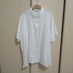 Item thumbnail for item d379a3eb-289e-4cb9-8091-f9ed01071b08