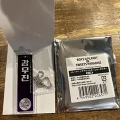 Item thumbnail for item 22258112-72a7-4280-9cfc-ef87b7fa4c2b